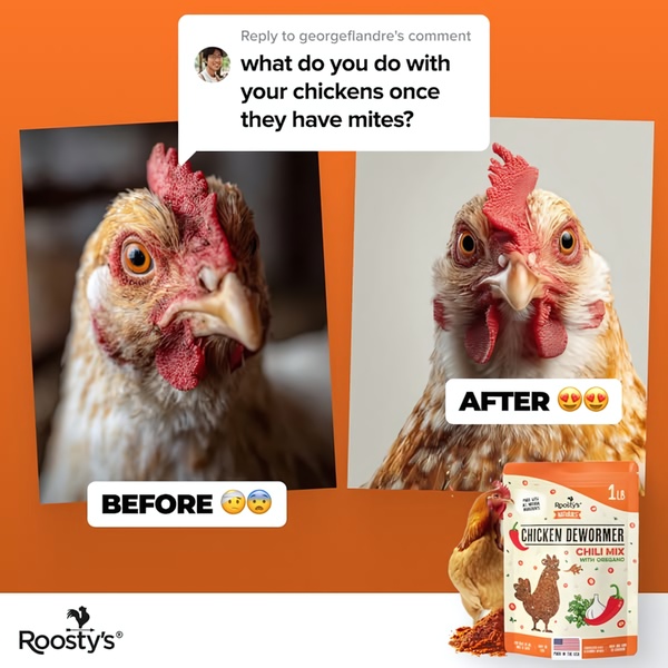 A square format side-by-side comparison showcasing the effectiveness of a chicken dewormer product, using a customer question as the primary hook.